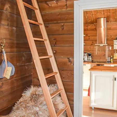 Holiday home 3 Bedroom Amazing In Nissedal *