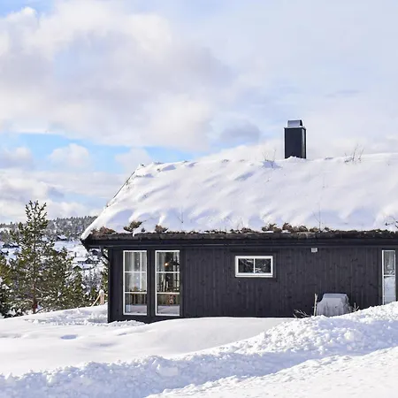 Holiday home 3 Bedroom Amazing In Nissedal