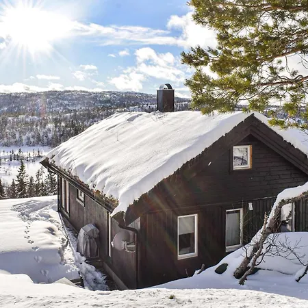 3 Bedroom Amazing In Nissedal Holiday home